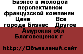 Бизнес в молодой перспективной французской компании › Цена ­ 30 000 - Все города Бизнес » Другое   . Амурская обл.,Благовещенск г.